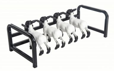 4 Head Goat and Lamb Show Rail